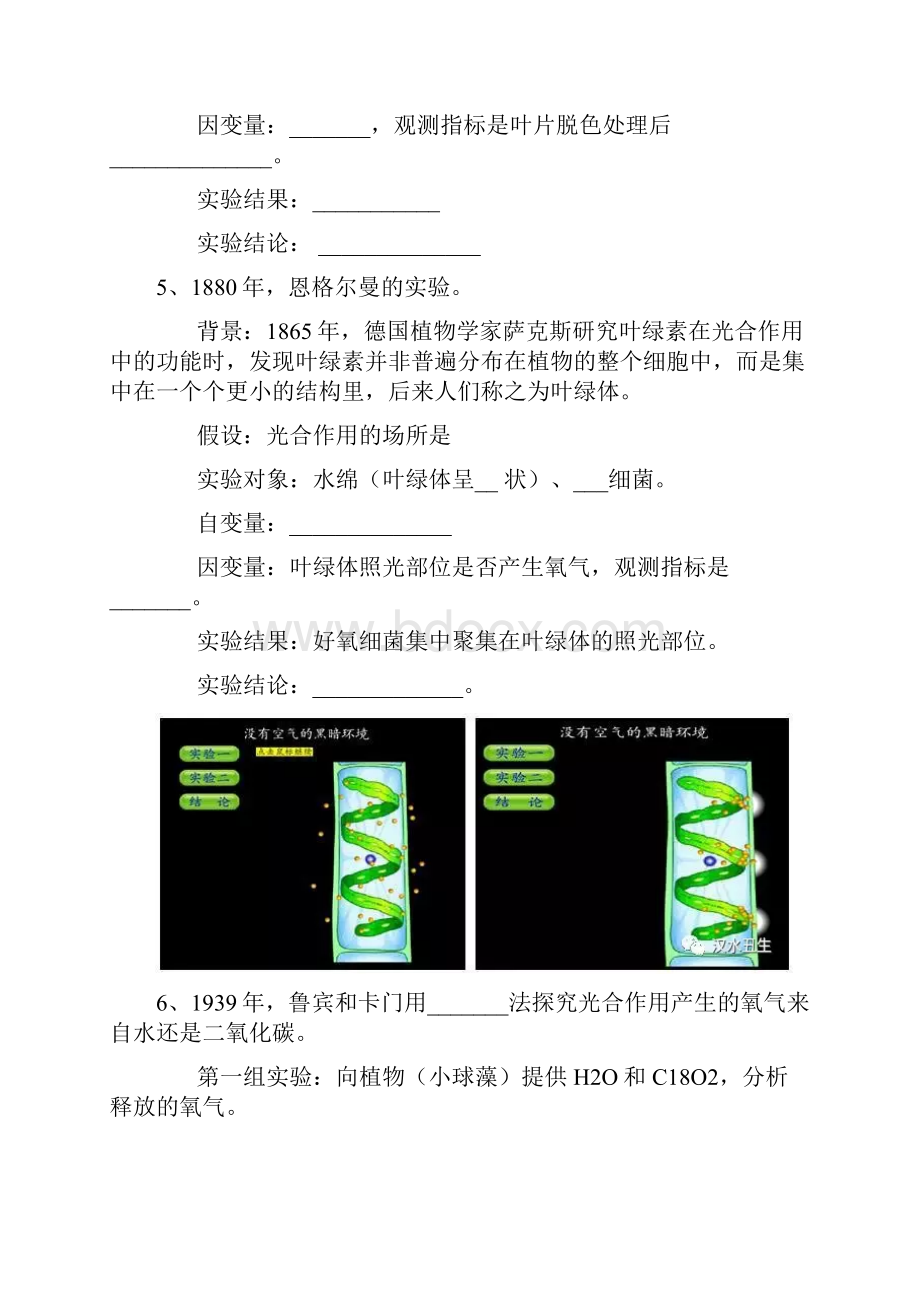 高三复习生物人教版必修一第5章第4节 光合作用学案.docx_第2页