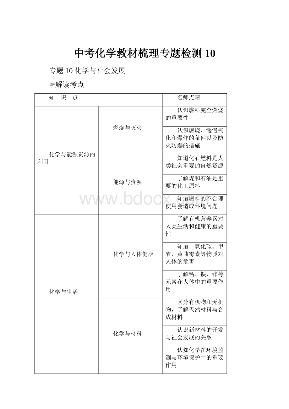 中考化学教材梳理专题检测10.docx