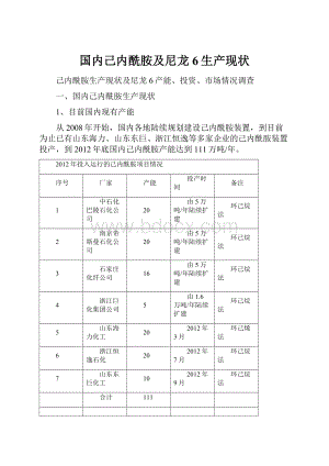 国内己内酰胺及尼龙6生产现状.docx