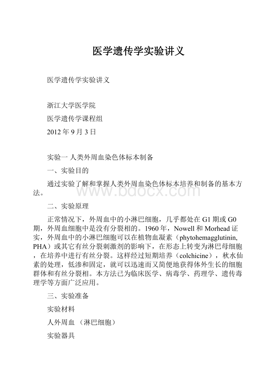 医学遗传学实验讲义.docx