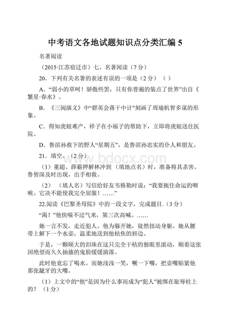 中考语文各地试题知识点分类汇编5.docx