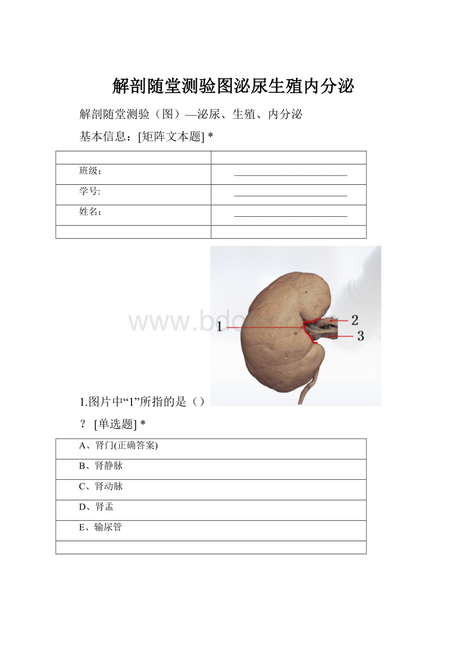 解剖随堂测验图泌尿生殖内分泌.docx