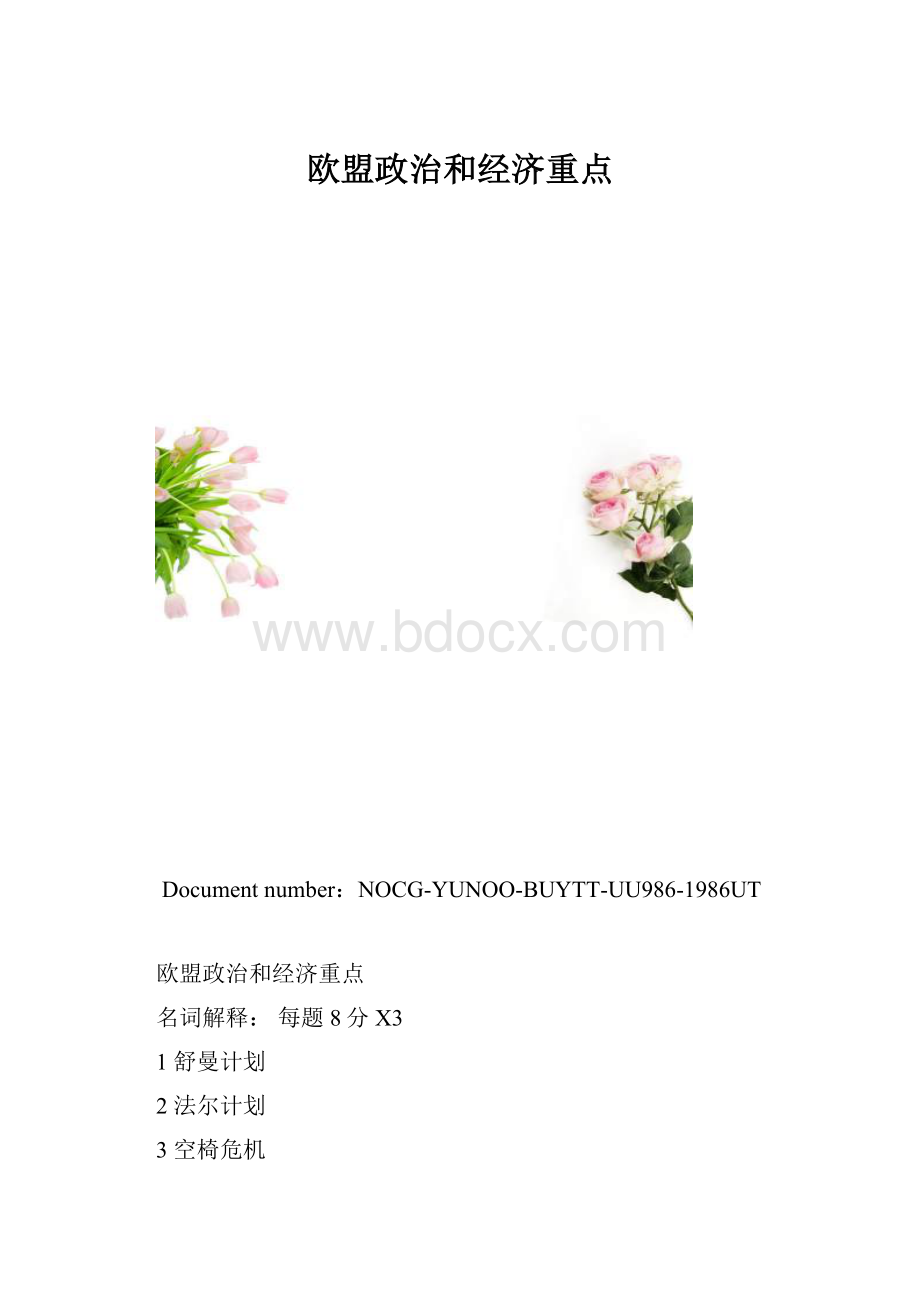 欧盟政治和经济重点.docx_第1页