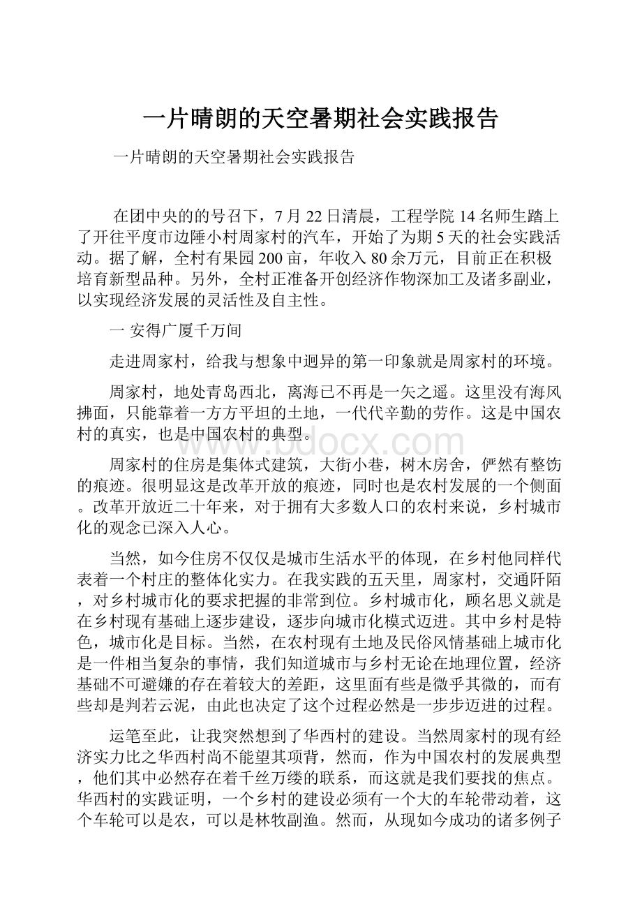 一片晴朗的天空暑期社会实践报告.docx_第1页