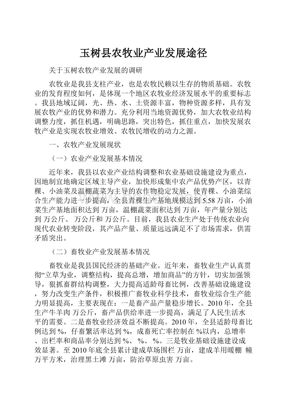 玉树县农牧业产业发展途径.docx_第1页