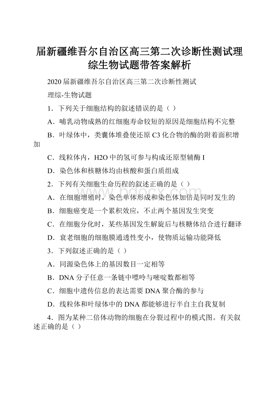 届新疆维吾尔自治区高三第二次诊断性测试理综生物试题带答案解析.docx