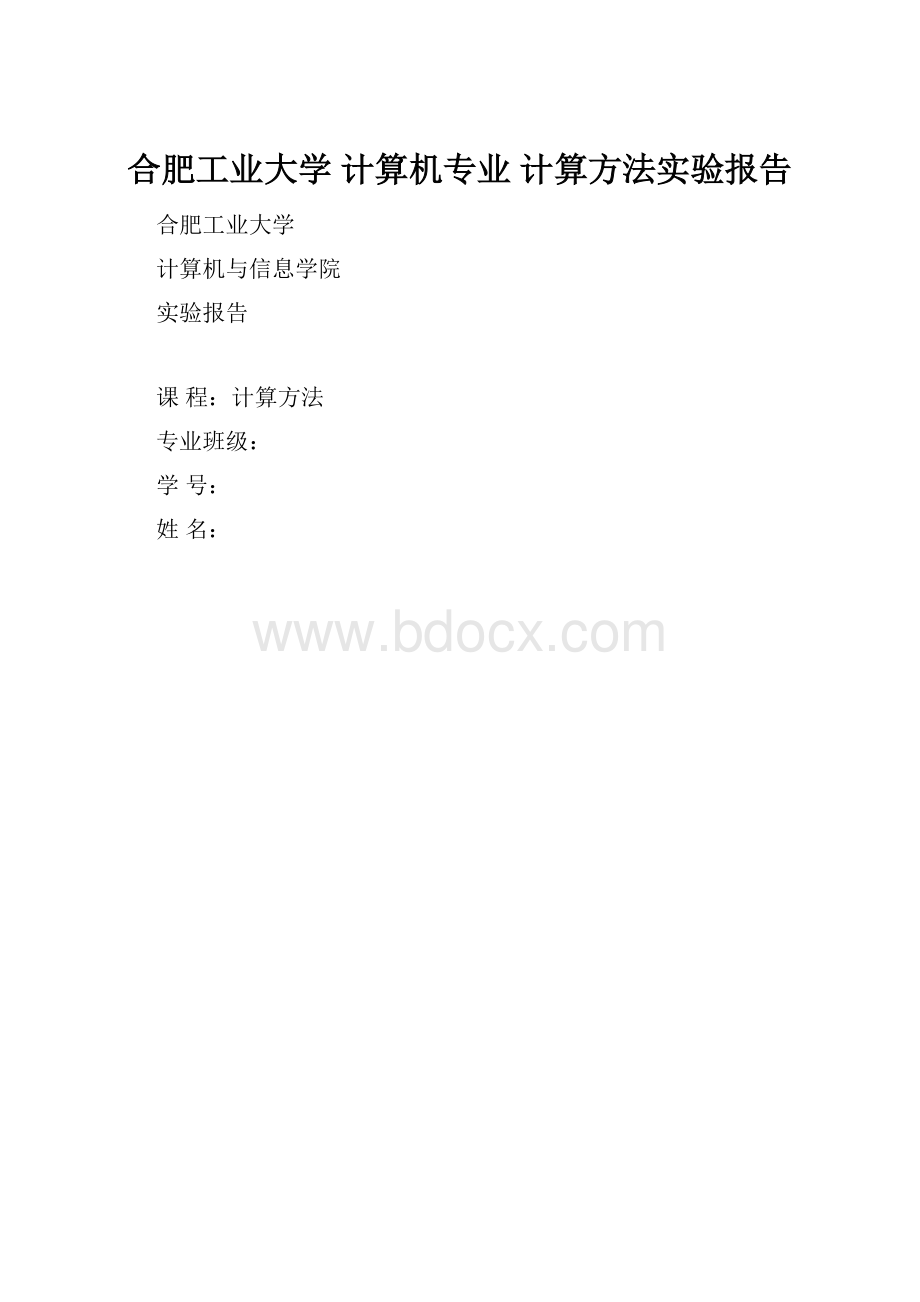 合肥工业大学 计算机专业 计算方法实验报告.docx