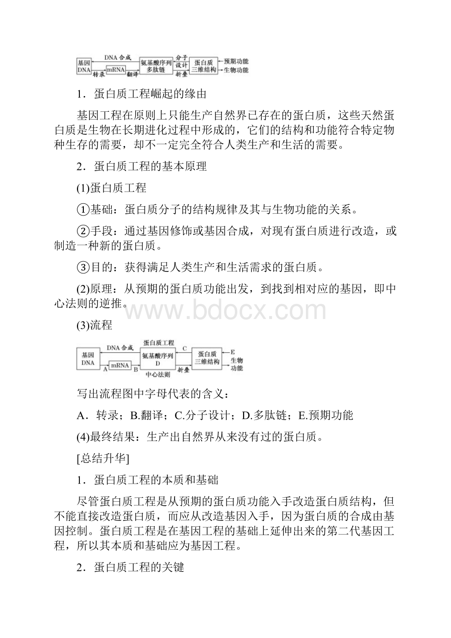 学年高二生物人教版选修三精选教师用书14蛋白质工程的崛起Word版含答案.docx_第3页