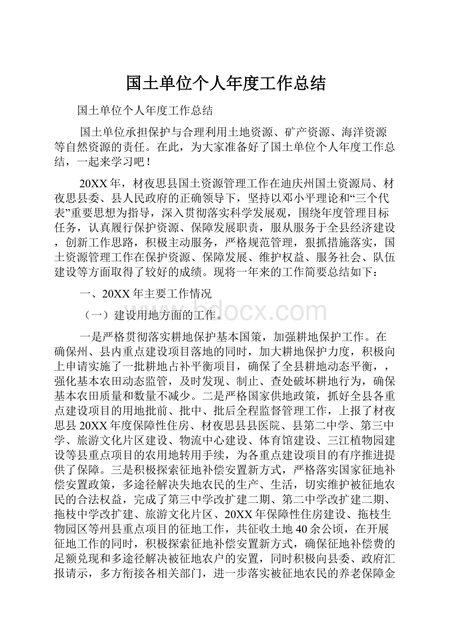 国土单位个人年度工作总结.docx