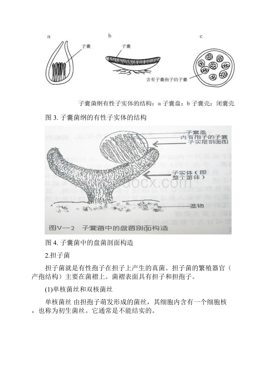 微生物实习报告从化森林公园.docx_第3页