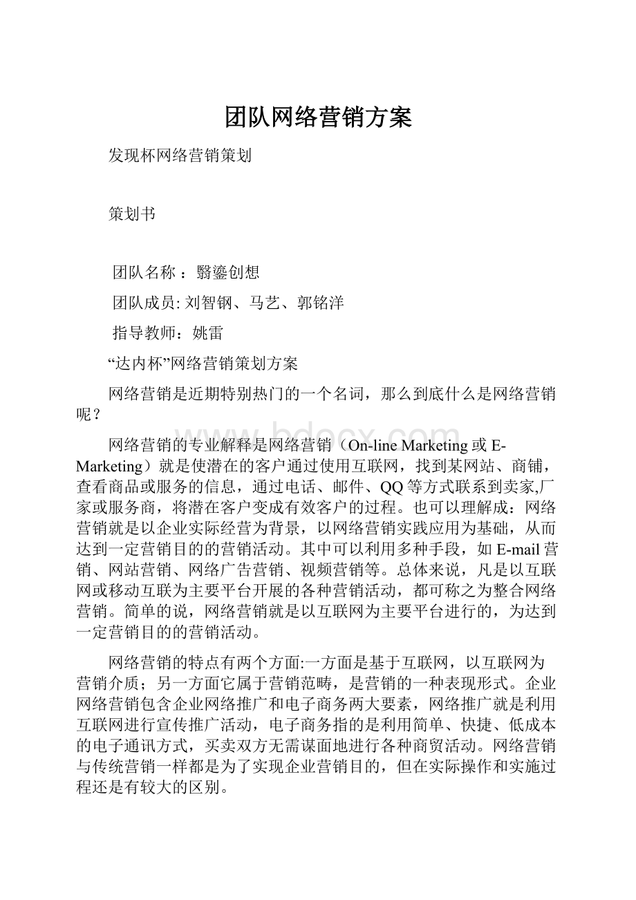 团队网络营销方案.docx