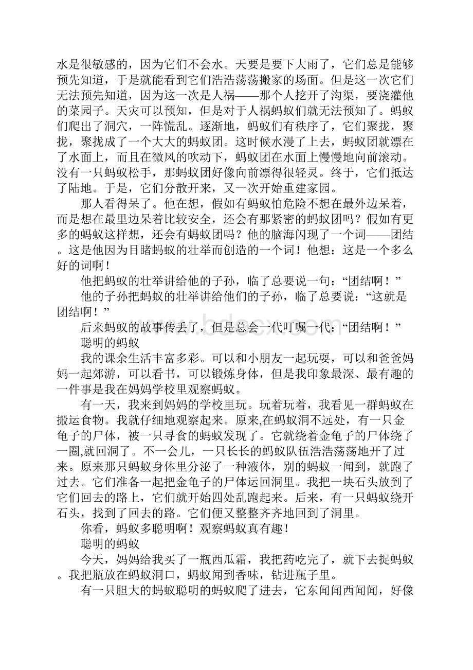 聪明的蚂蚁作文500字400字300字.docx_第2页