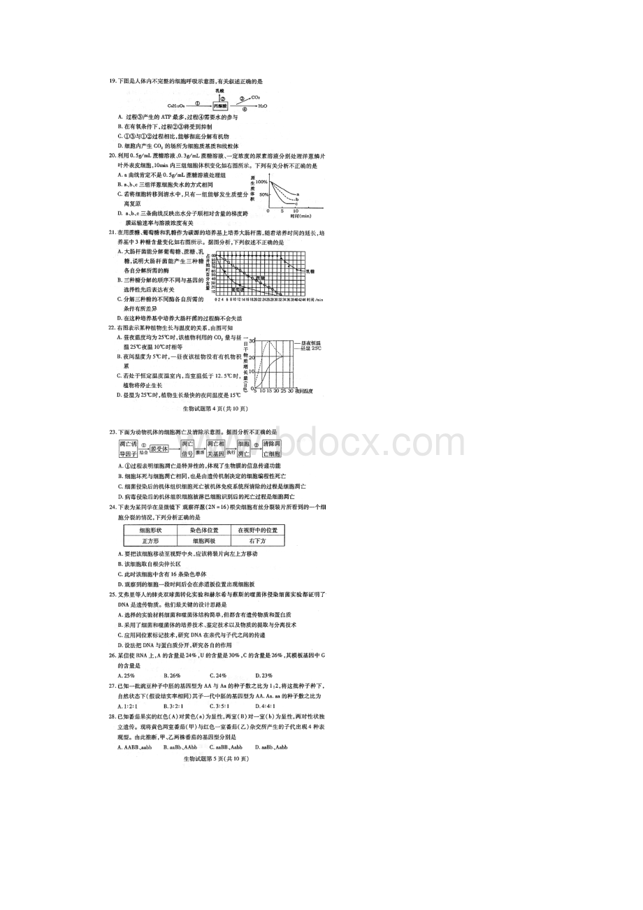 山东省泰安市届高三上学期期中考试扫描版生物doc.docx_第3页