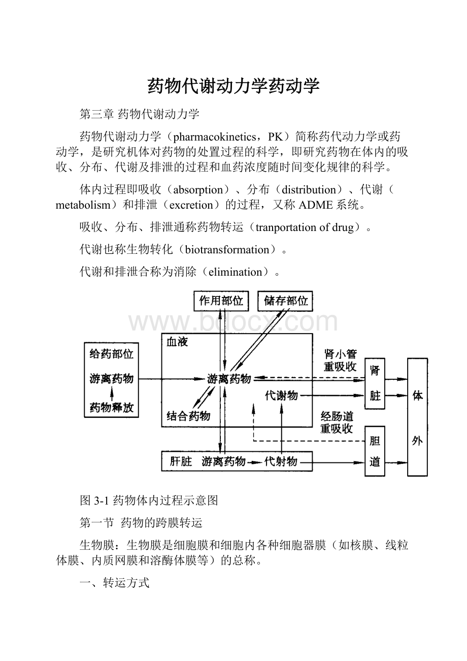 药物代谢动力学药动学.docx