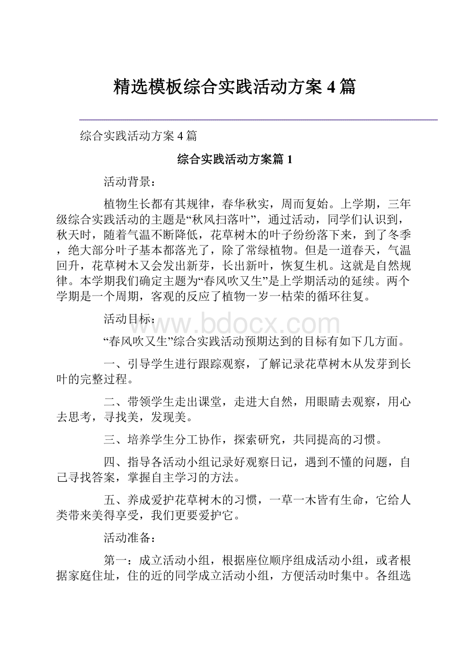 精选模板综合实践活动方案4篇.docx_第1页