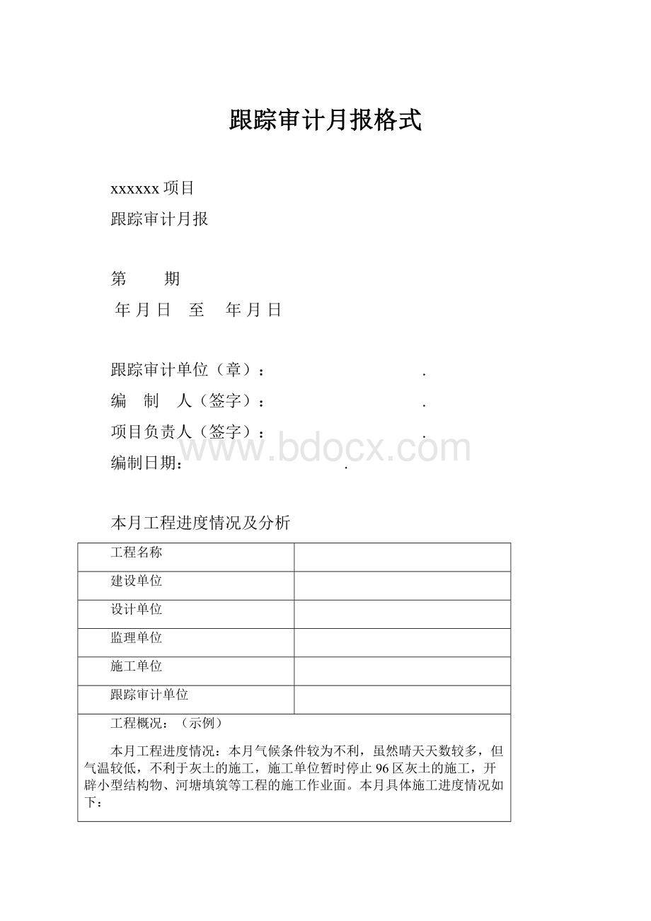 跟踪审计月报格式.docx