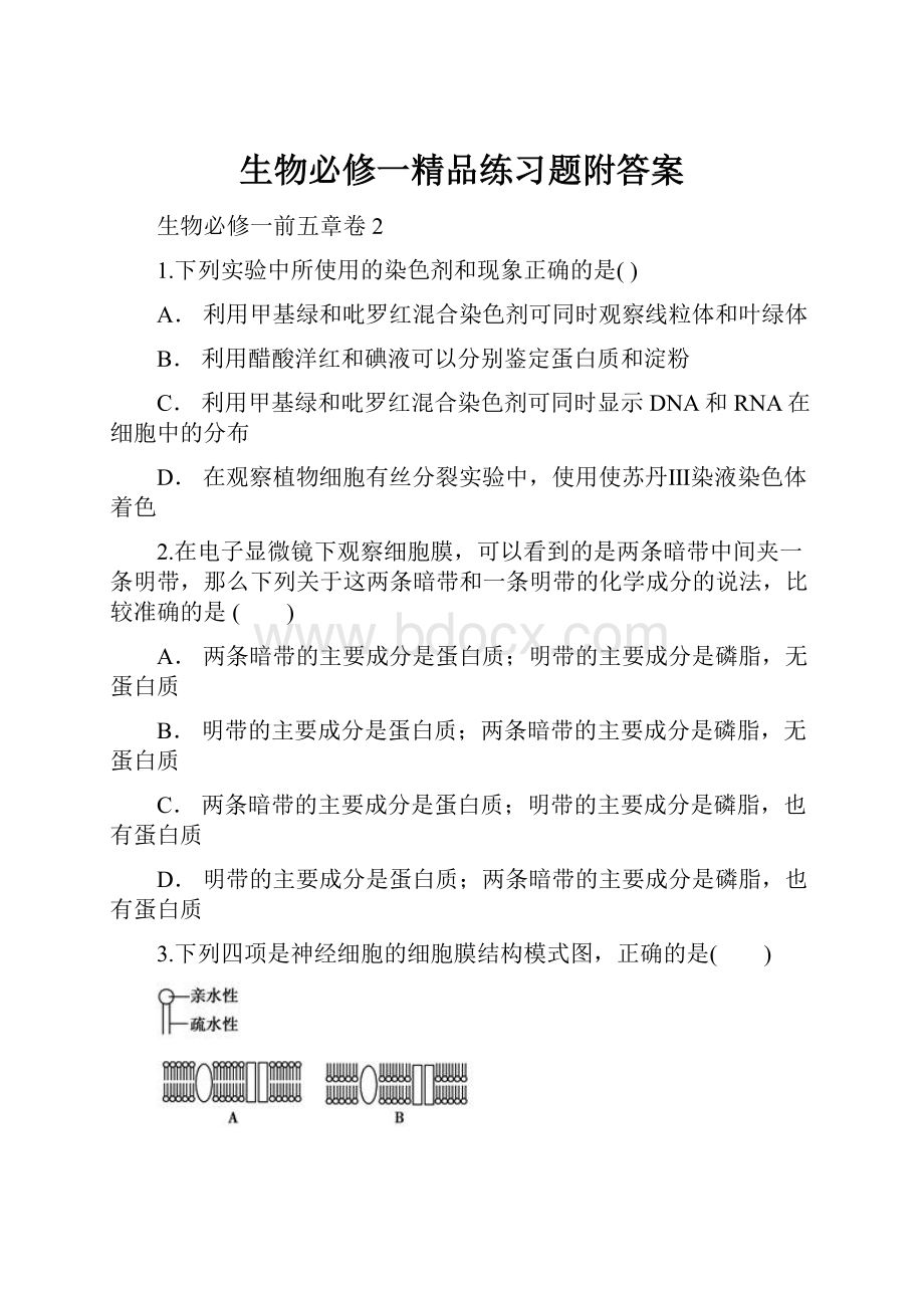 生物必修一精品练习题附答案.docx