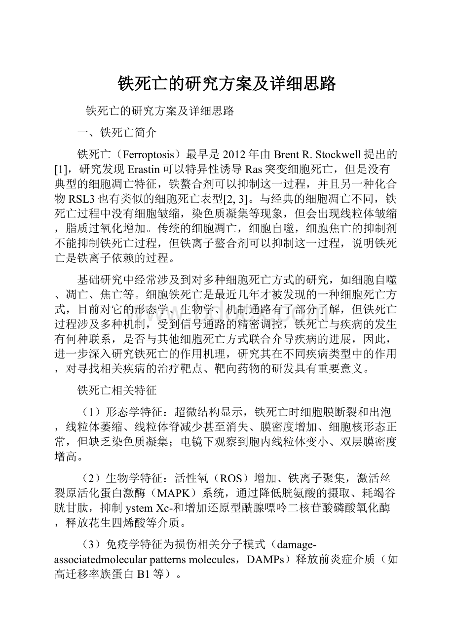 铁死亡的研究方案及详细思路.docx