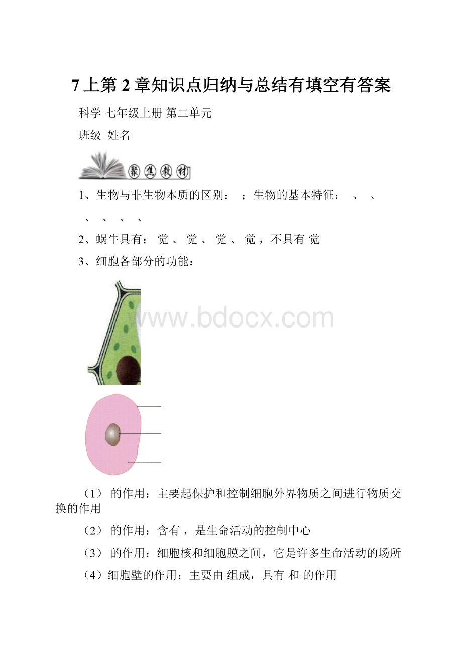 7上第2章知识点归纳与总结有填空有答案.docx