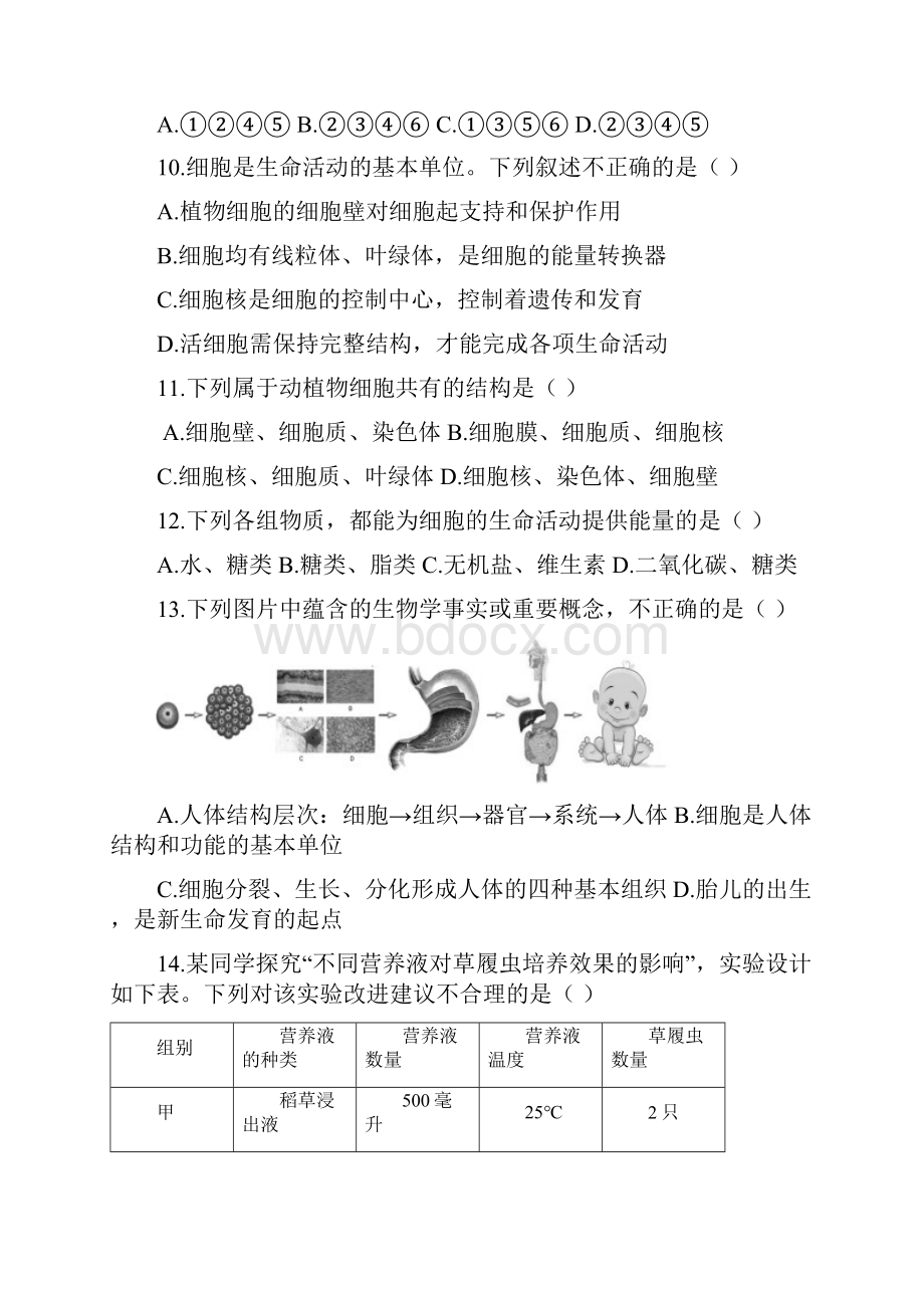 学年新人教版北京市海淀区七年级生物上学期期末考试试题有详细答案.docx_第3页