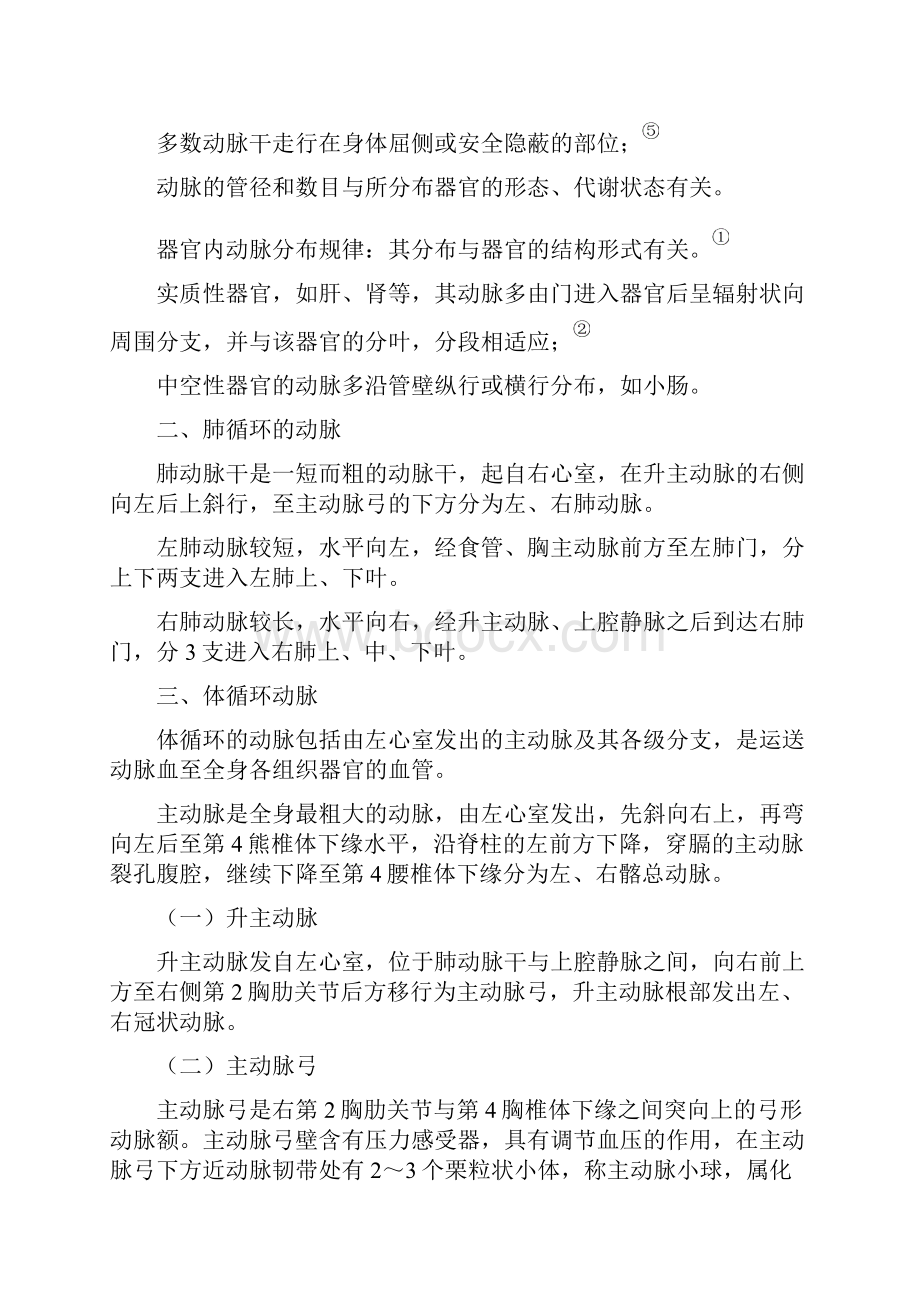 医学笔记人体解剖学之心血管系统二共10页.docx_第2页