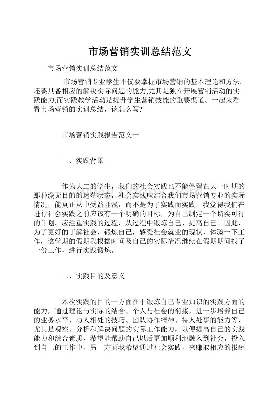 市场营销实训总结范文.docx