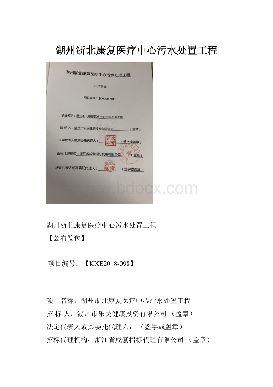 湖州浙北康复医疗中心污水处置工程.docx