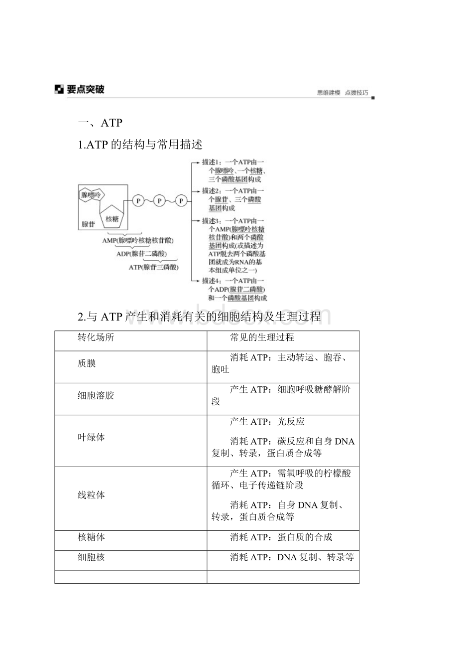 新人教版最新版高考生物大二轮复习 专题二 ATP酶与物质运输 考点1 ATP与酶练习必做练习.docx_第3页