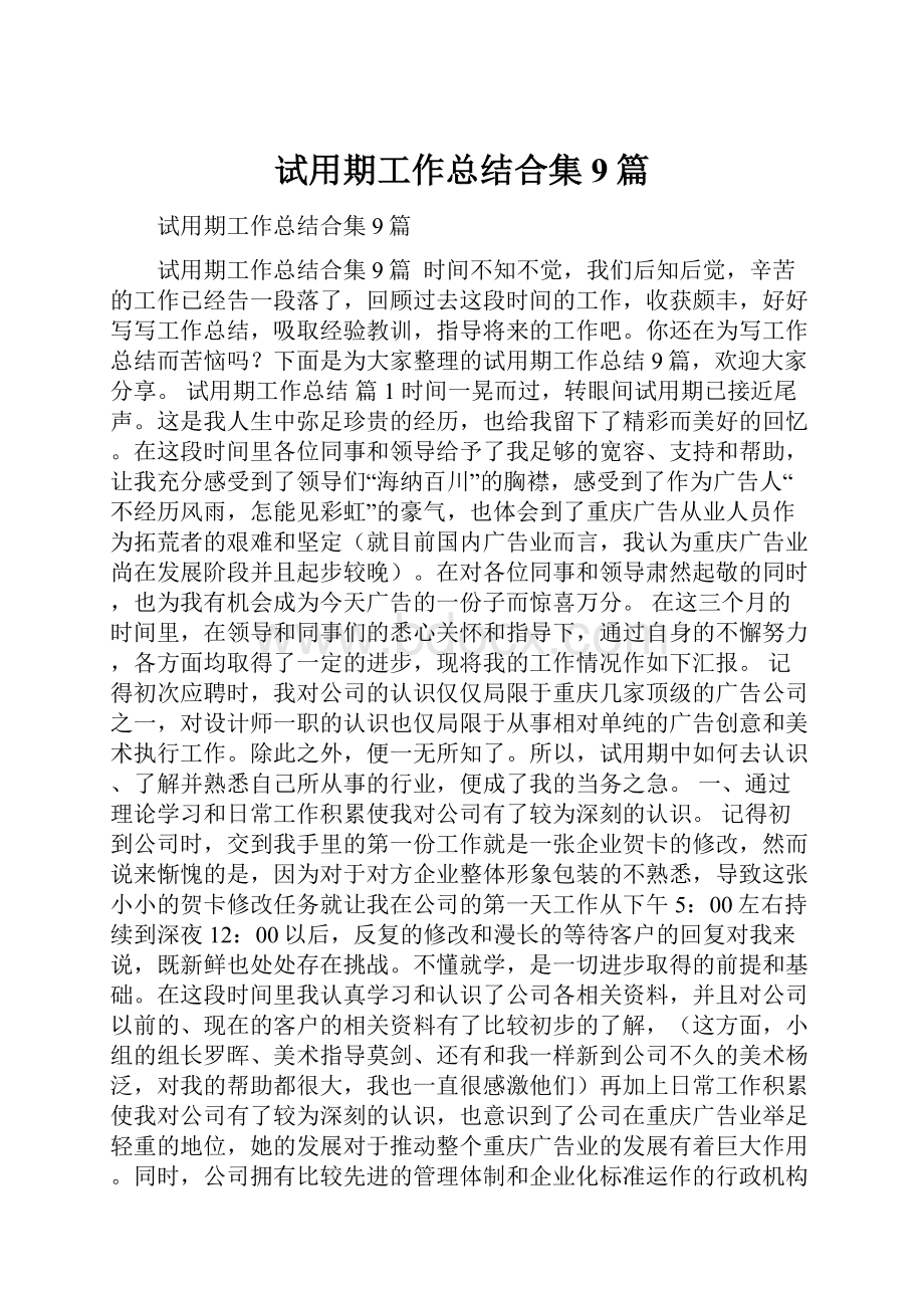 试用期工作总结合集9篇.docx