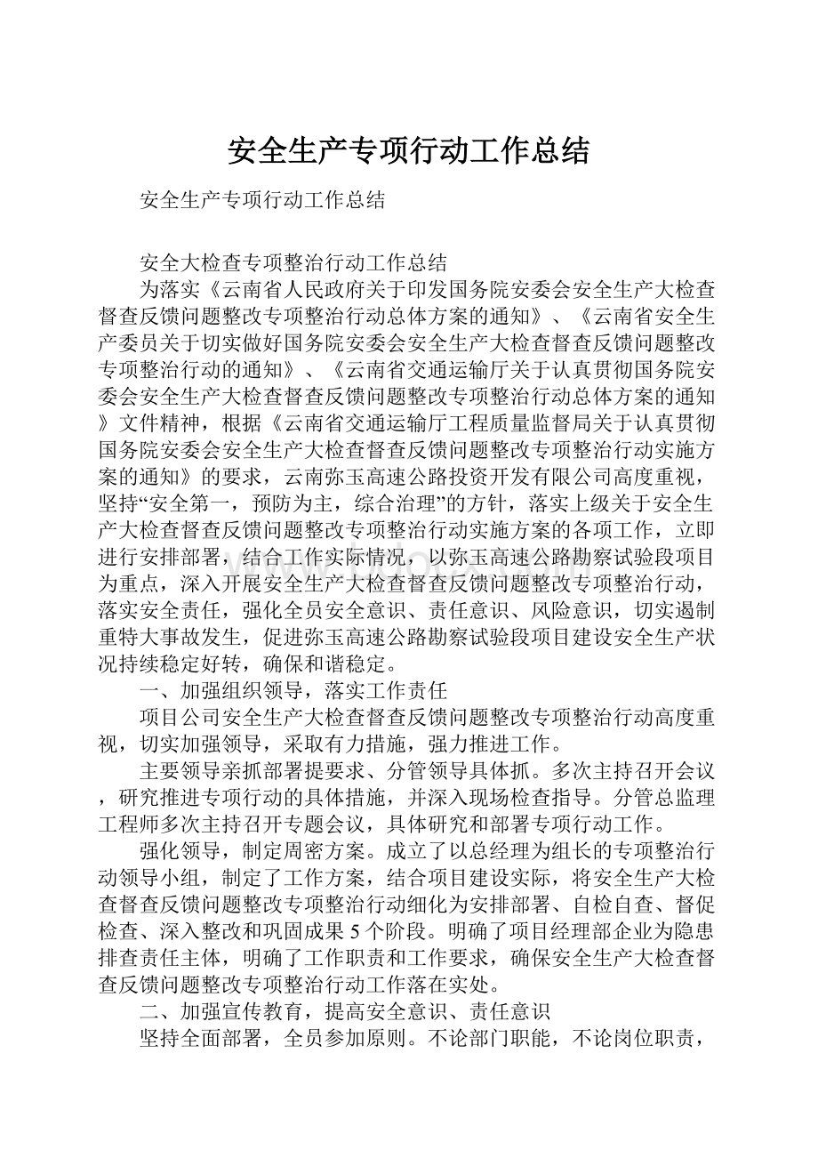 安全生产专项行动工作总结.docx