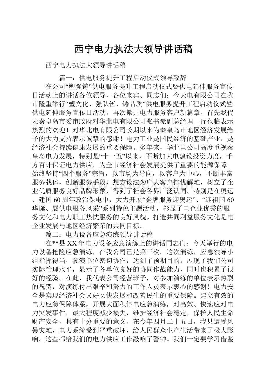 西宁电力执法大领导讲话稿.docx