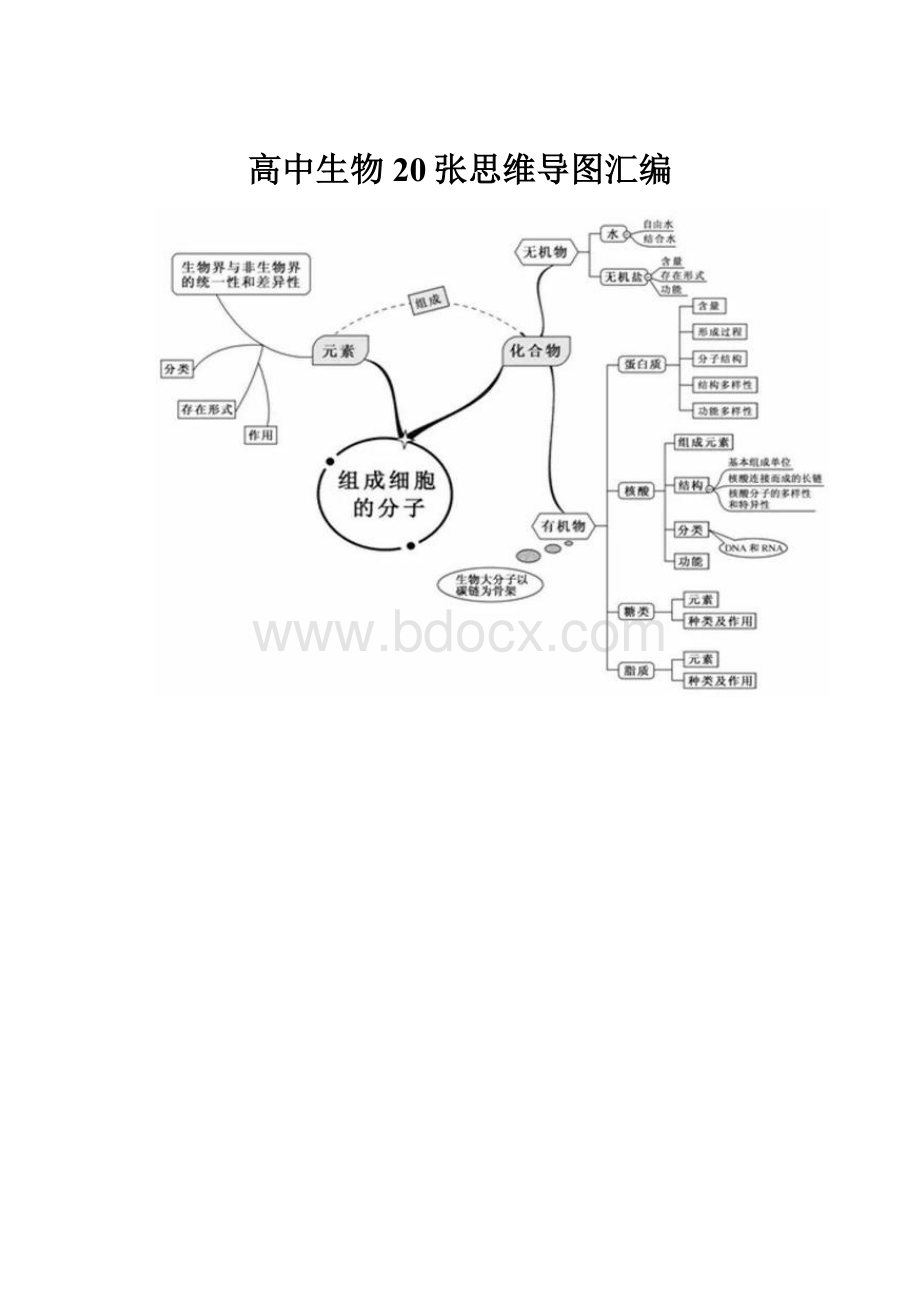 高中生物20张思维导图汇编.docx