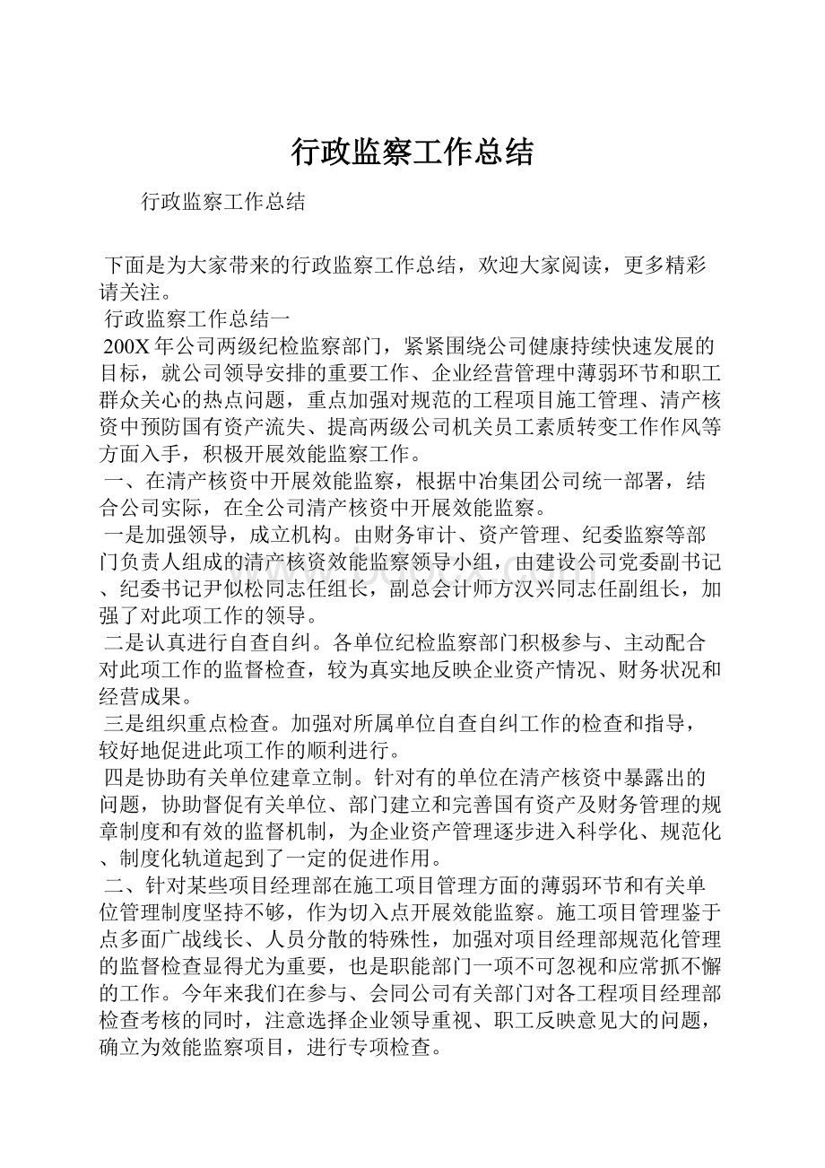 行政监察工作总结.docx