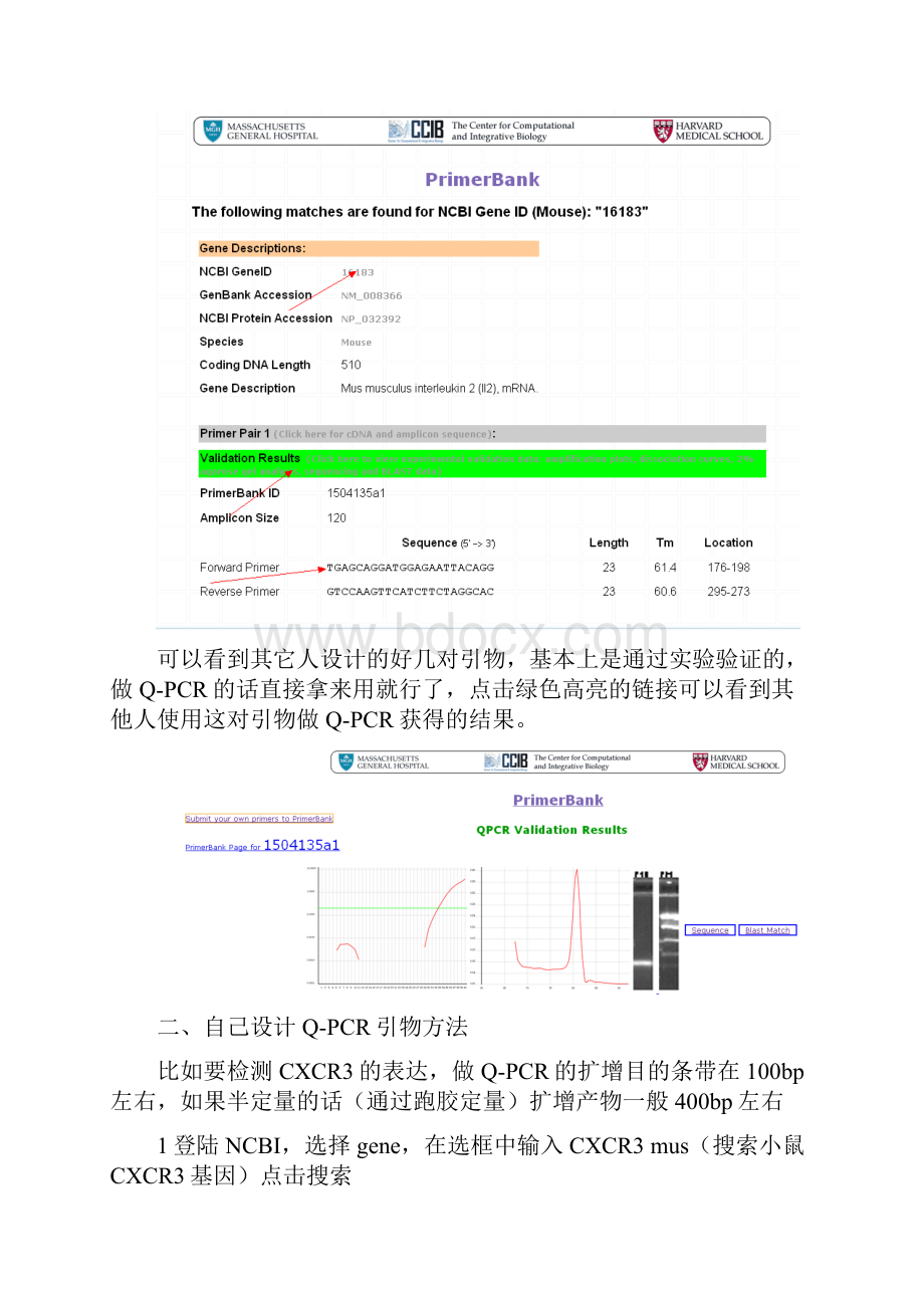 设计RTPCR引物方法.docx_第3页