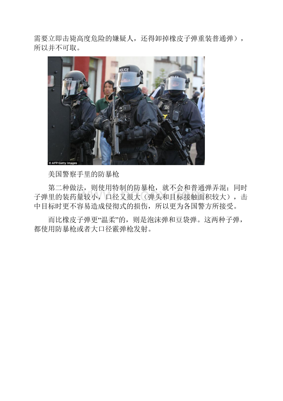 警察都有哪些非致命性武器.docx_第3页