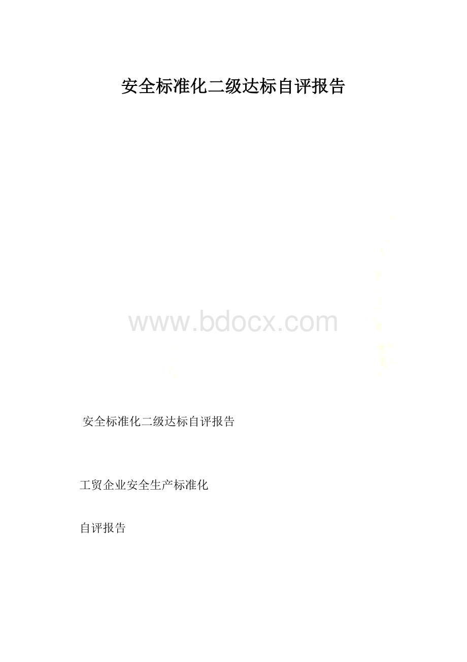 安全标准化二级达标自评报告.docx_第1页