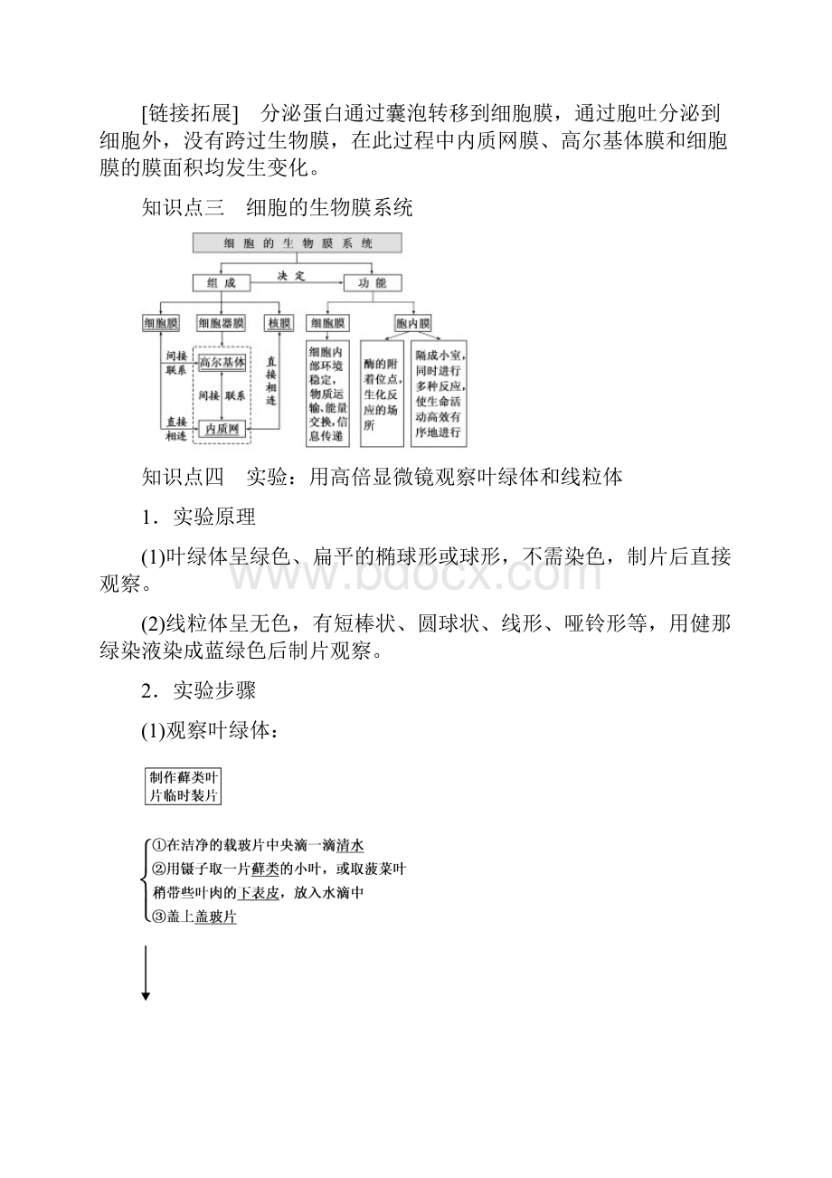 细胞器系统内的分工合作.docx_第2页