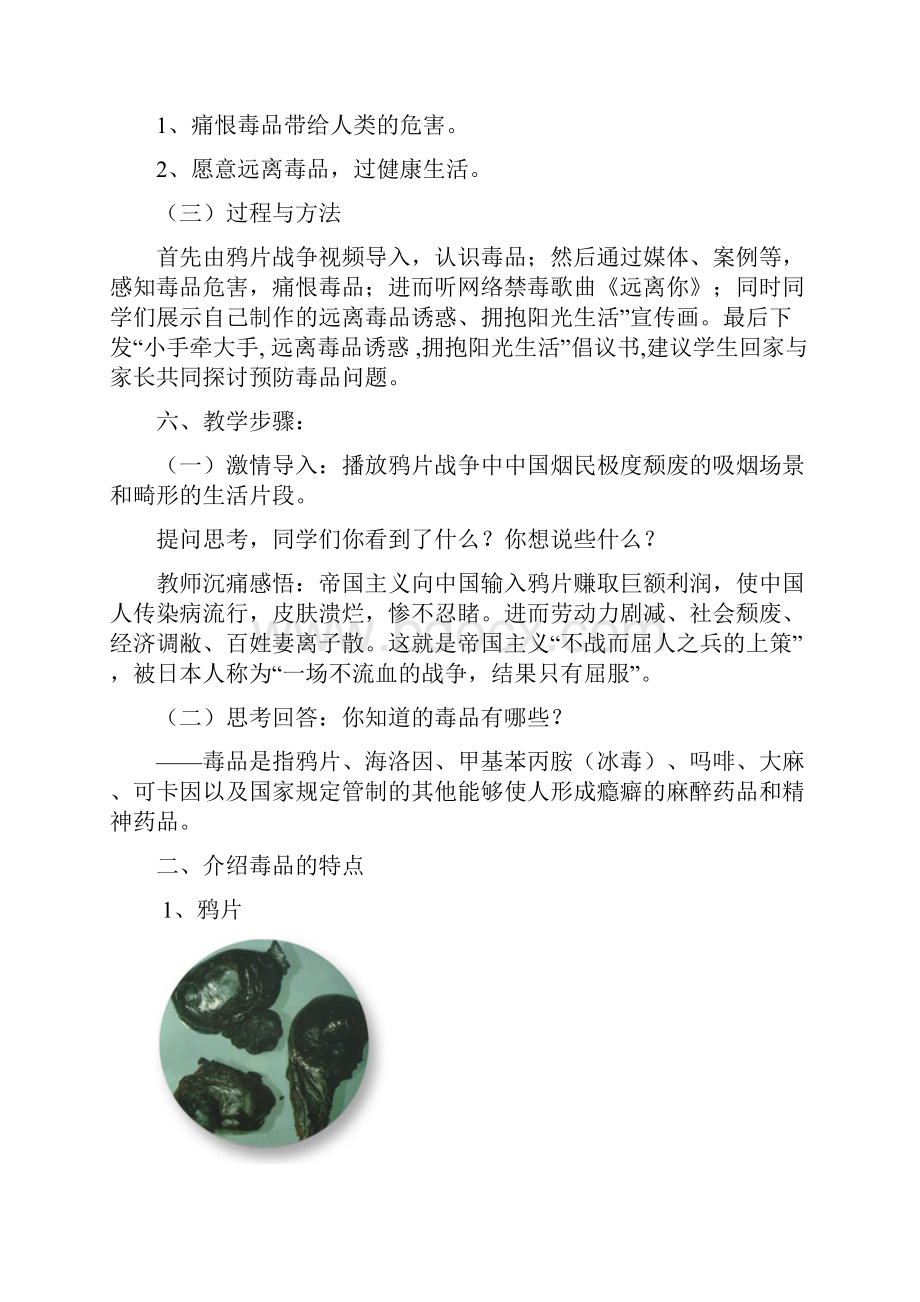 抵御毒品诱惑拥抱阳光生活主题活动实践方案.docx_第3页