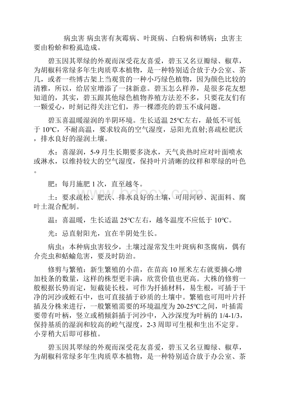 虎耳草应该如何养护.docx_第2页