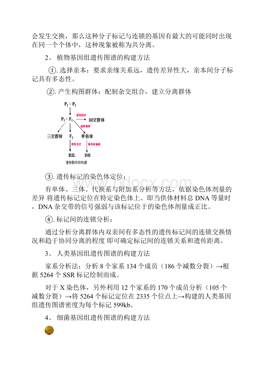 基因组学期末复习资料.docx_第3页