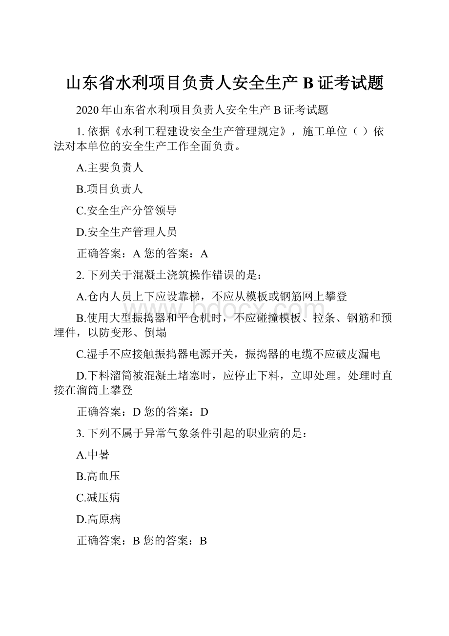 山东省水利项目负责人安全生产B证考试题.docx