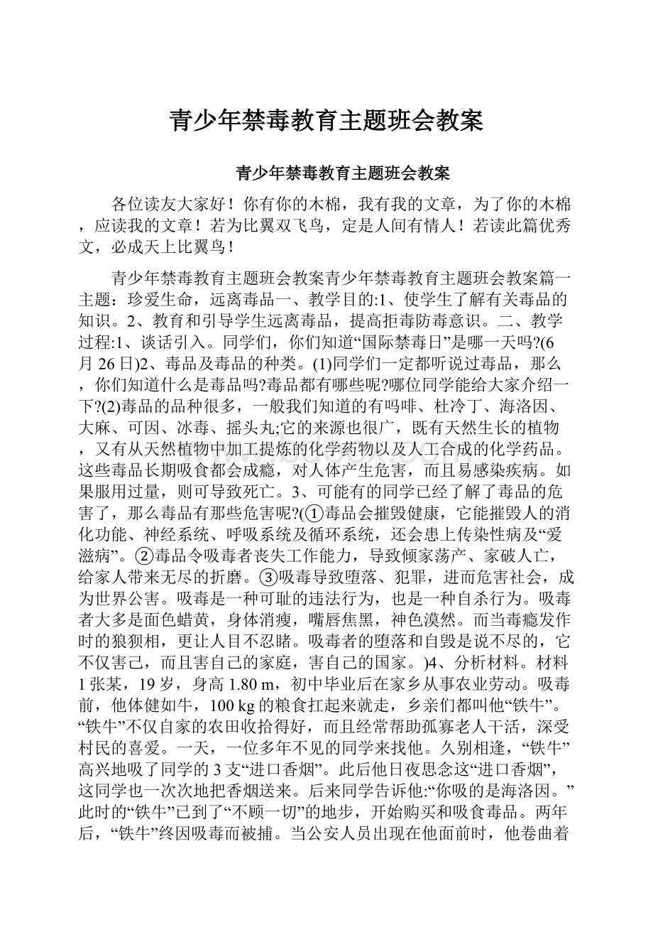 青少年禁毒教育主题班会教案.docx