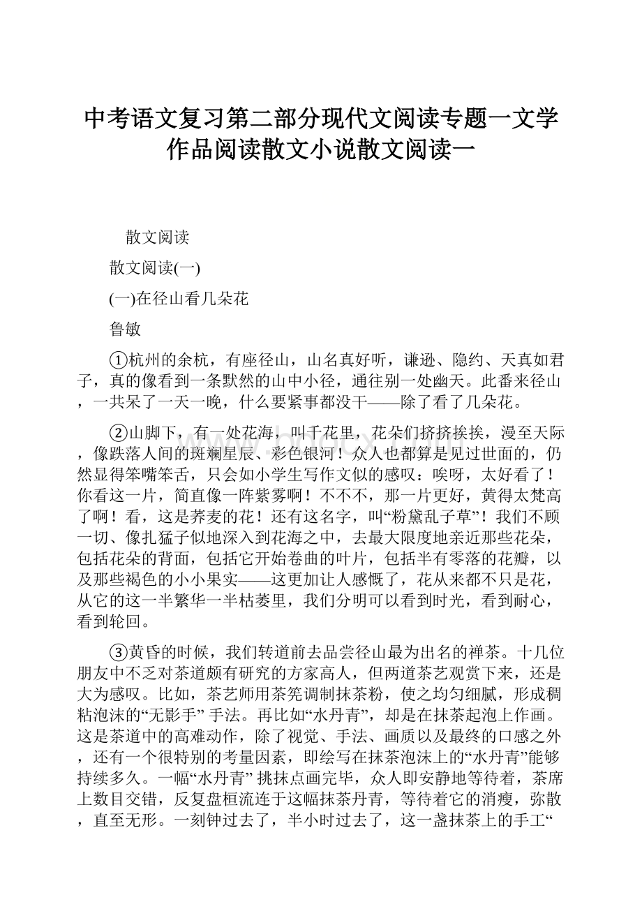 中考语文复习第二部分现代文阅读专题一文学作品阅读散文小说散文阅读一.docx