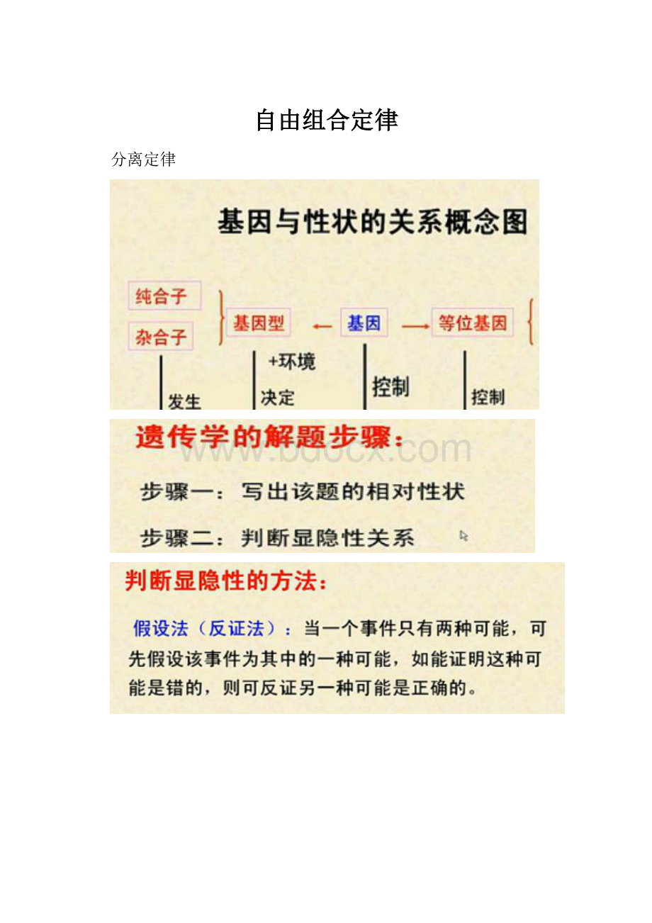 自由组合定律.docx_第1页