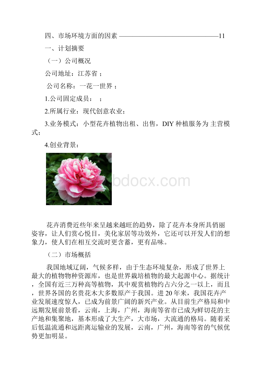 花卉创业计划书.docx_第2页