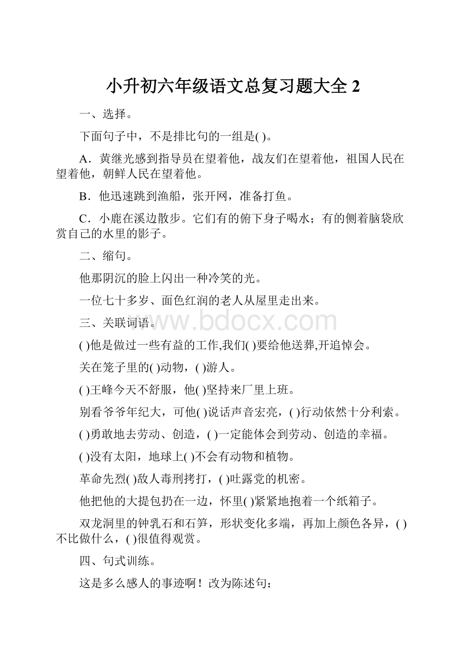 小升初六年级语文总复习题大全2.docx_第1页