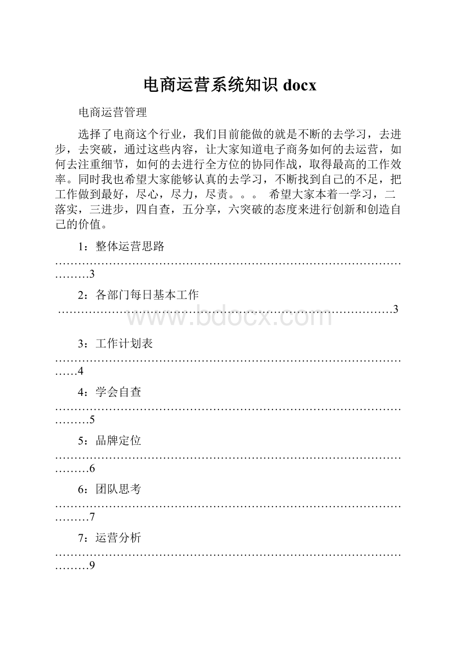 电商运营系统知识docx.docx_第1页