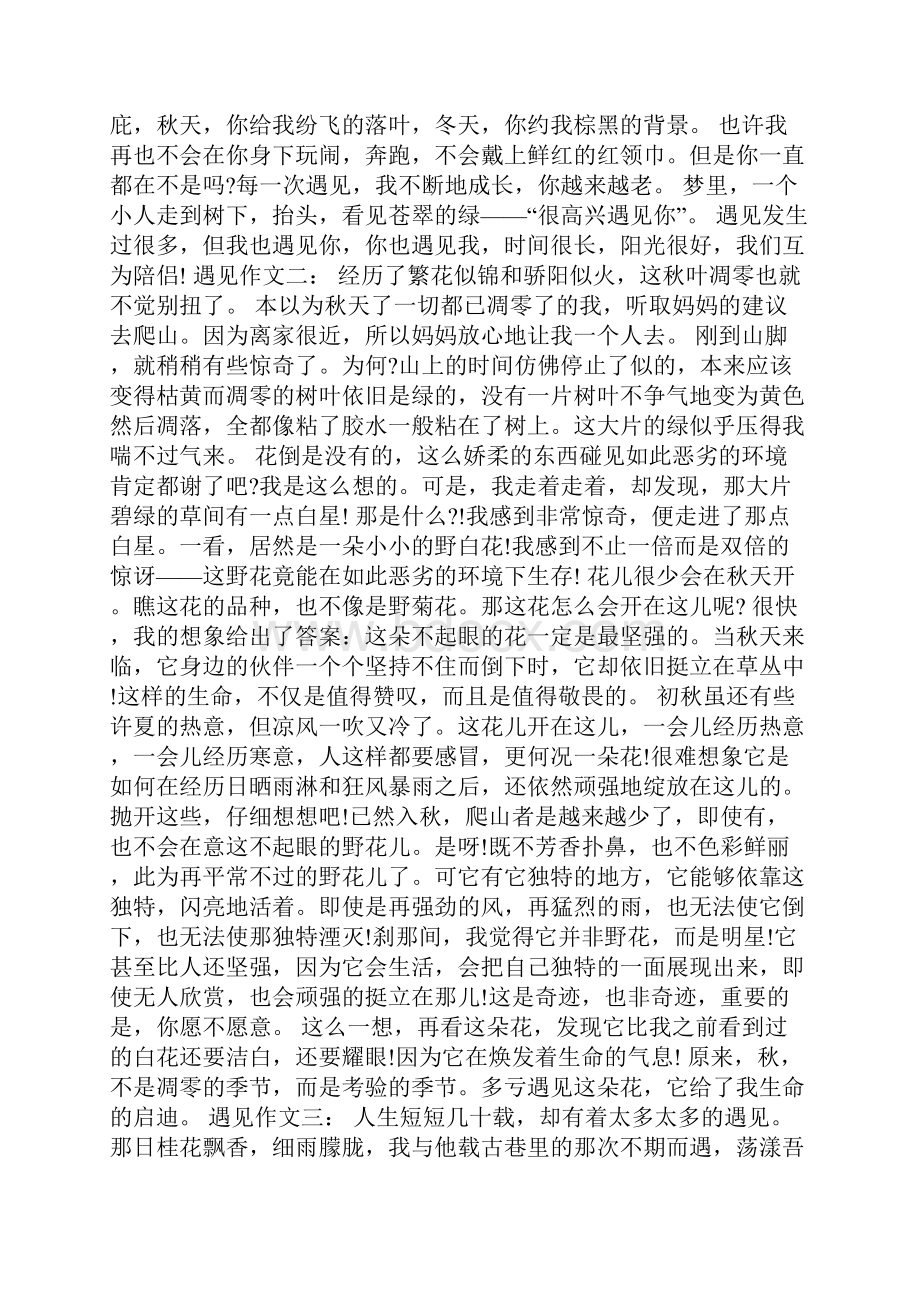 600字初一作文遇见.docx_第2页