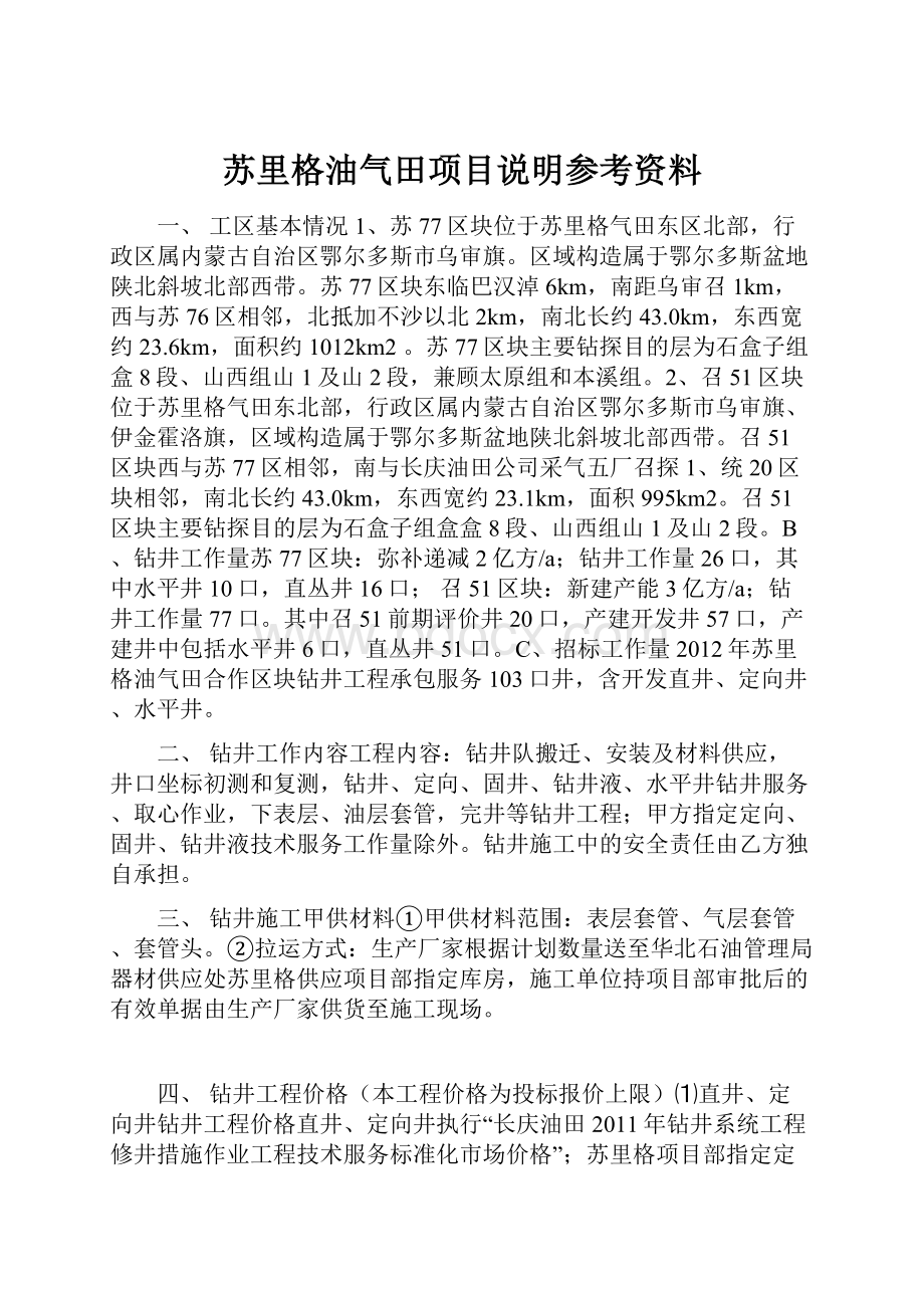 苏里格油气田项目说明参考资料.docx