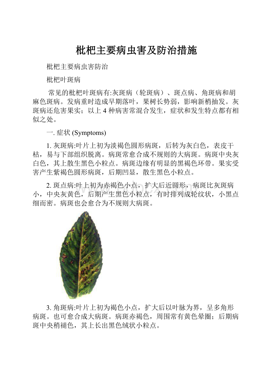 枇杷主要病虫害及防治措施.docx